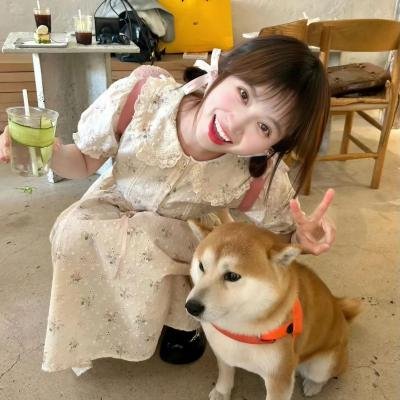 危险情人