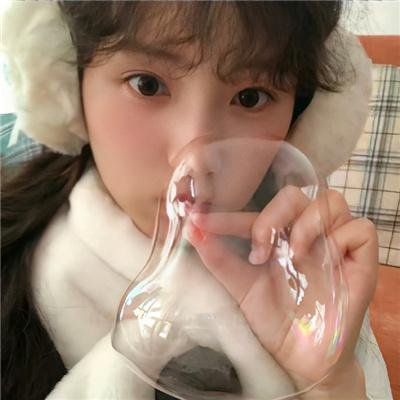 白色相簿第二季